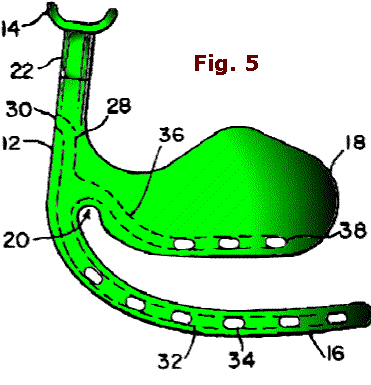 Fig. 5